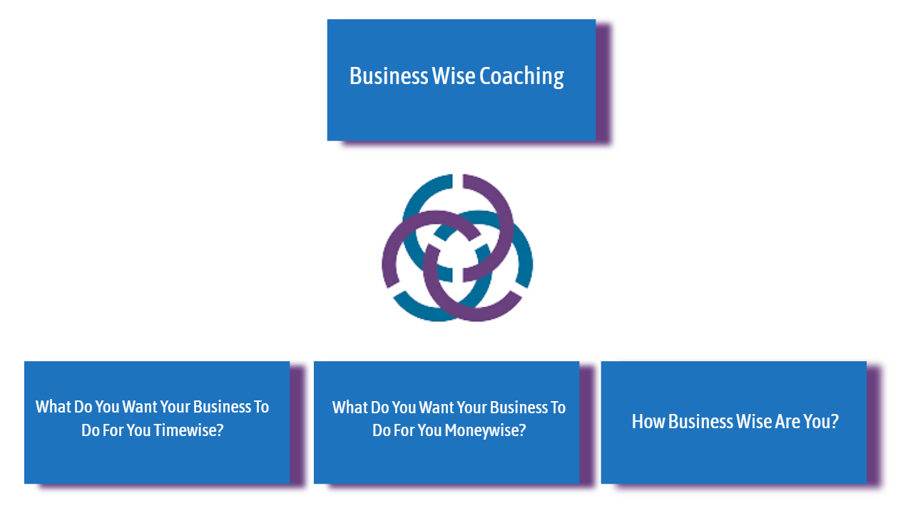 Business Wise Coaching Model